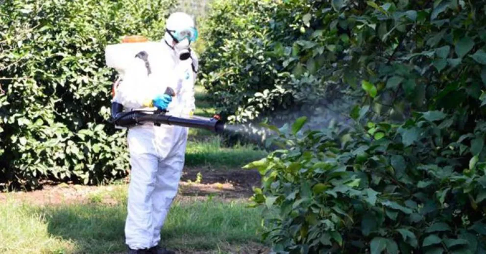 Proponen crear un registro de comercialización de insecticidas