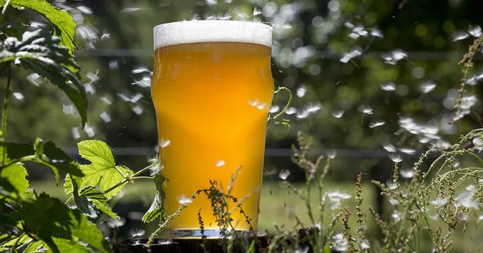 Bariloche tendrá en febrero su Fiesta de la Cerveza Artesanal
