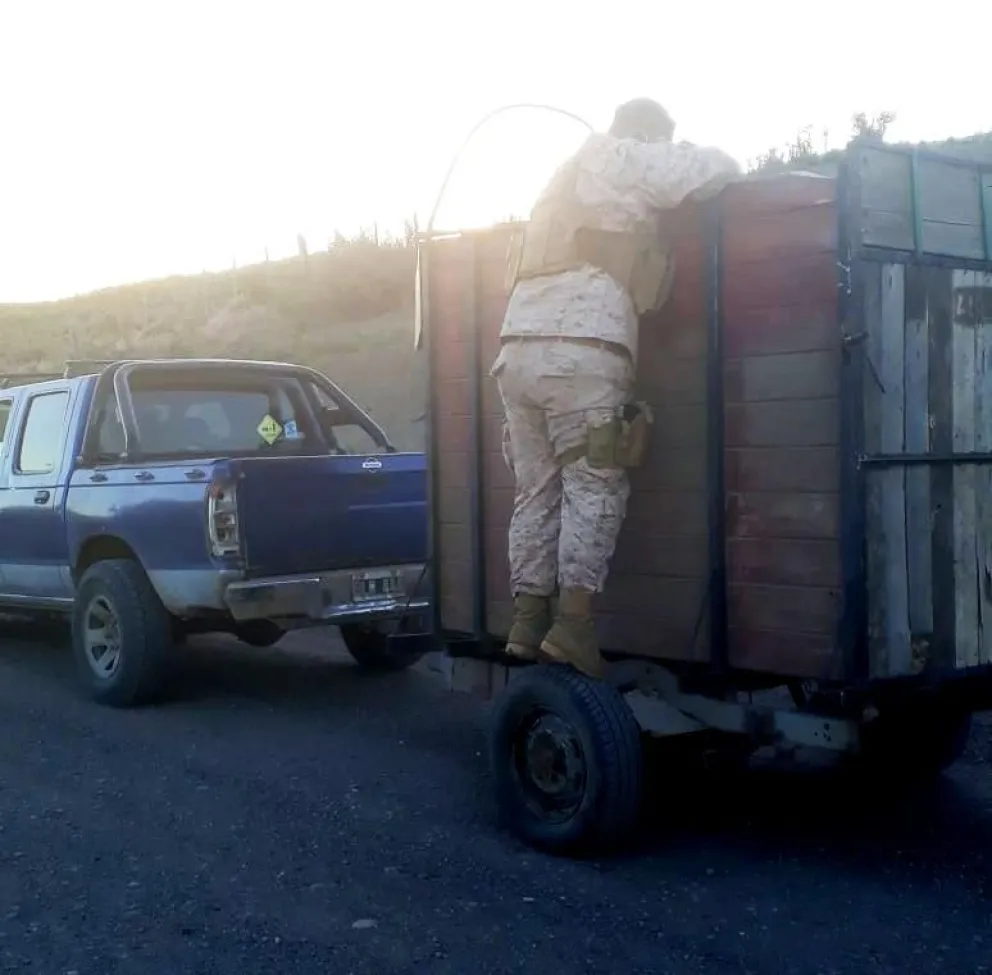 Intensifican controles en zonas rurales para evitar faenas clandestinas 