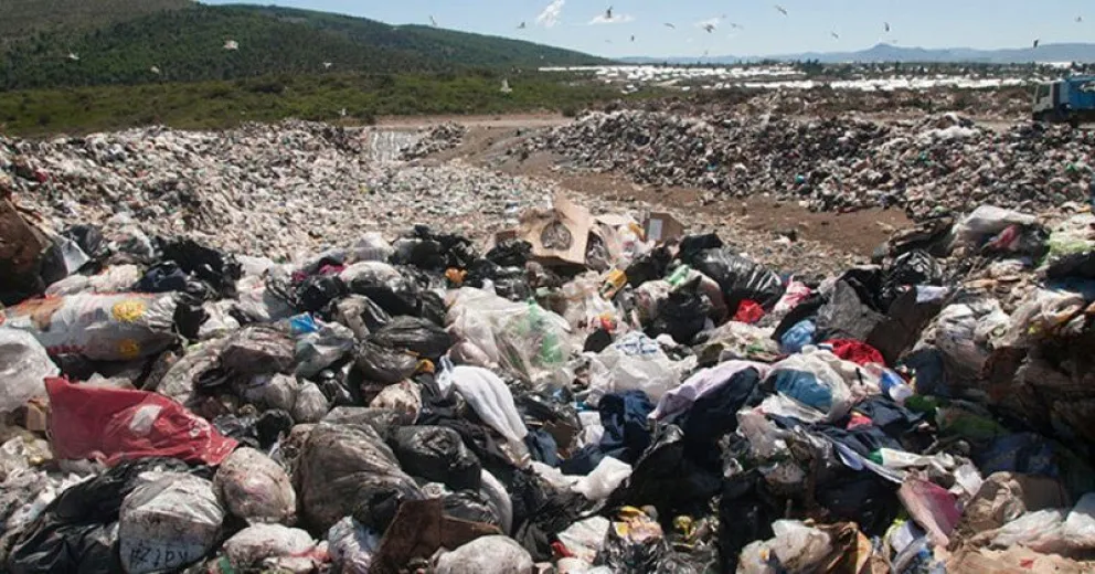 Cincuenta personas se alimentan en el basural