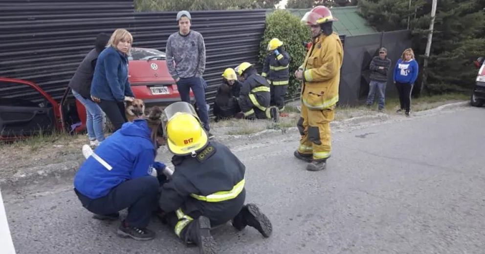 Un auto se estrelló contra un paredón