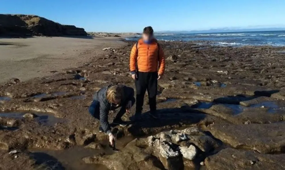 En Miramar, una familia halló restos fósiles de un animal que vivió hace 700.000 años