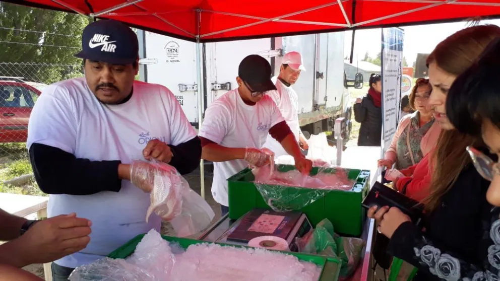 Buscan potenciar el consumo de pescado de la costa rionegrina en Bariloche