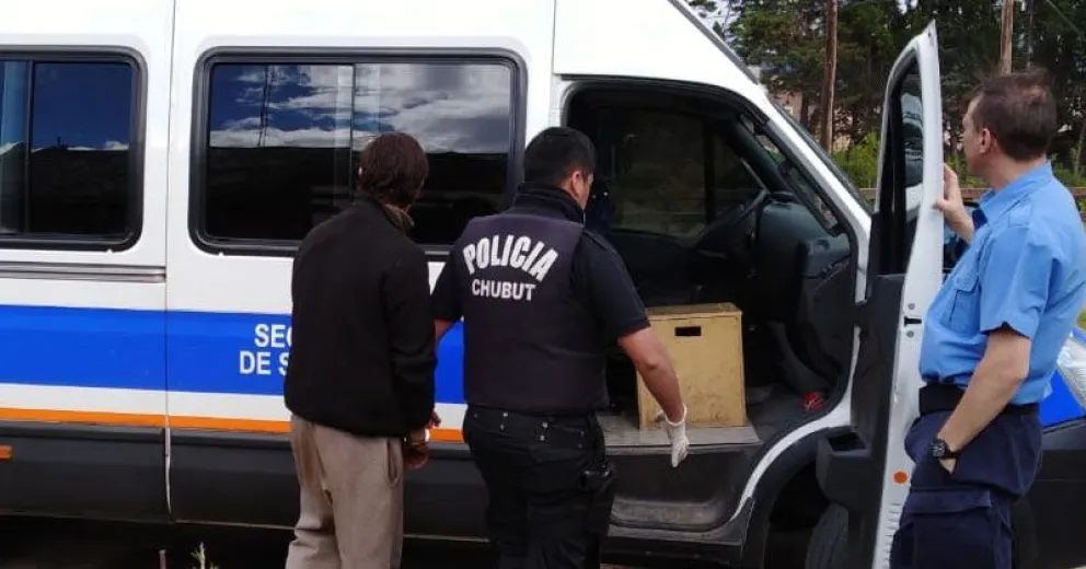 Desbaratan una banda de El Bolsón que robaba animales