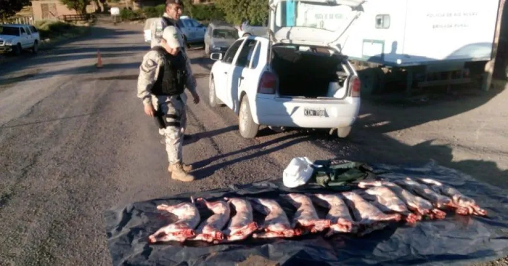 Secuestraron más de 100 animales en la previa de Navidad