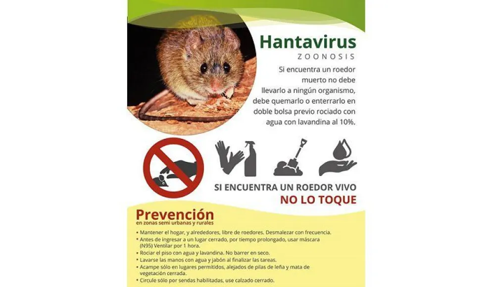 Recuerdan recomendaciones para prevenir el hantavirus   