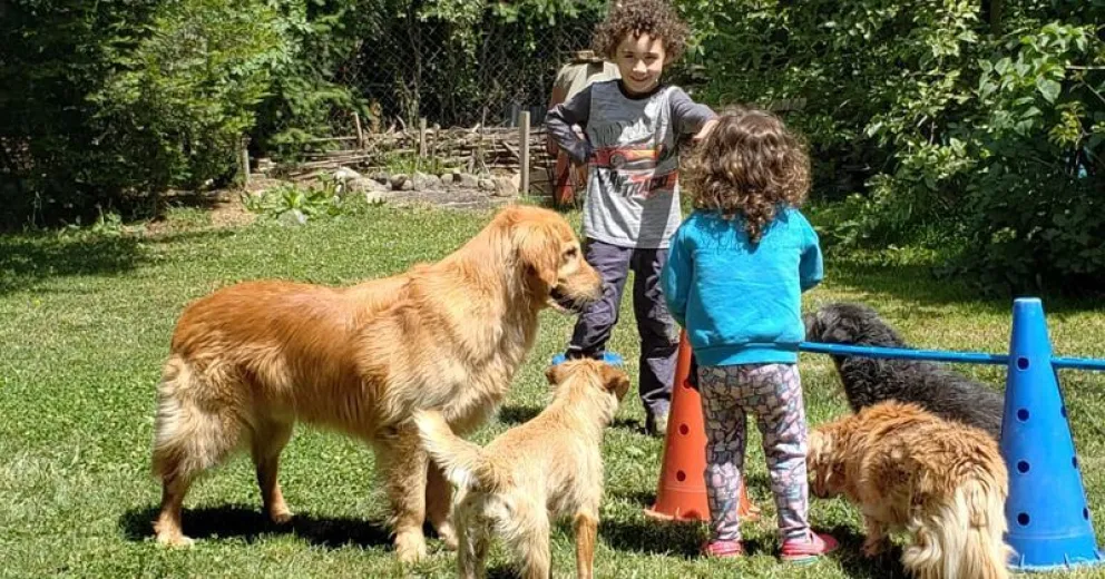 Taller de intervenciones asistidas con perros