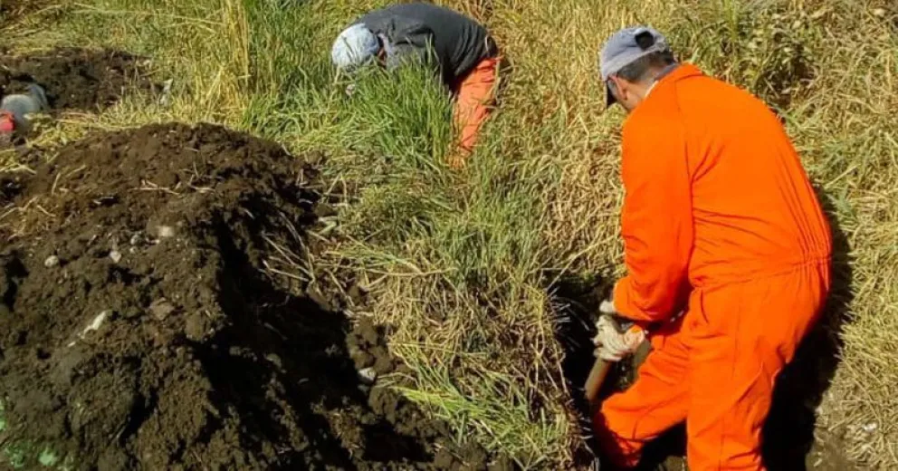 La Delegación Sur realiza trabajos de mantenimiento en diversas zonas