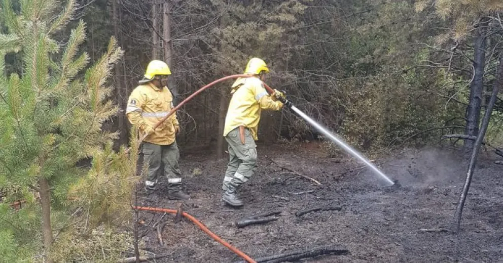 Extinguieron incendio forestal frente al cerro Ventana