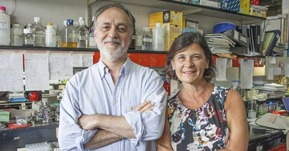 Células de la sangre ayudarían a la detección temprana del Alzheimer