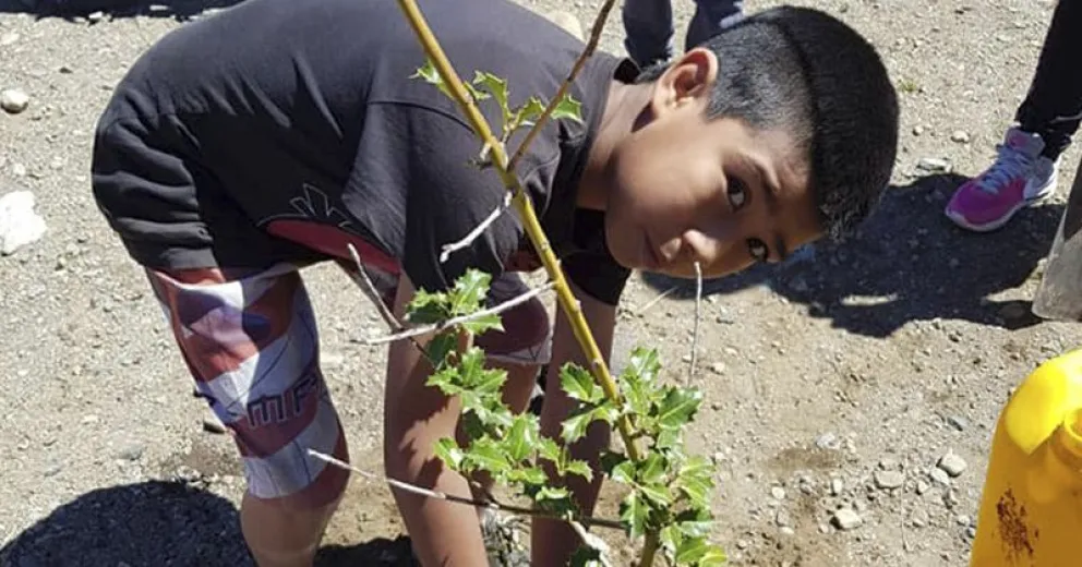 Plantaron árboles en la plaza del barrio 2 de Abril