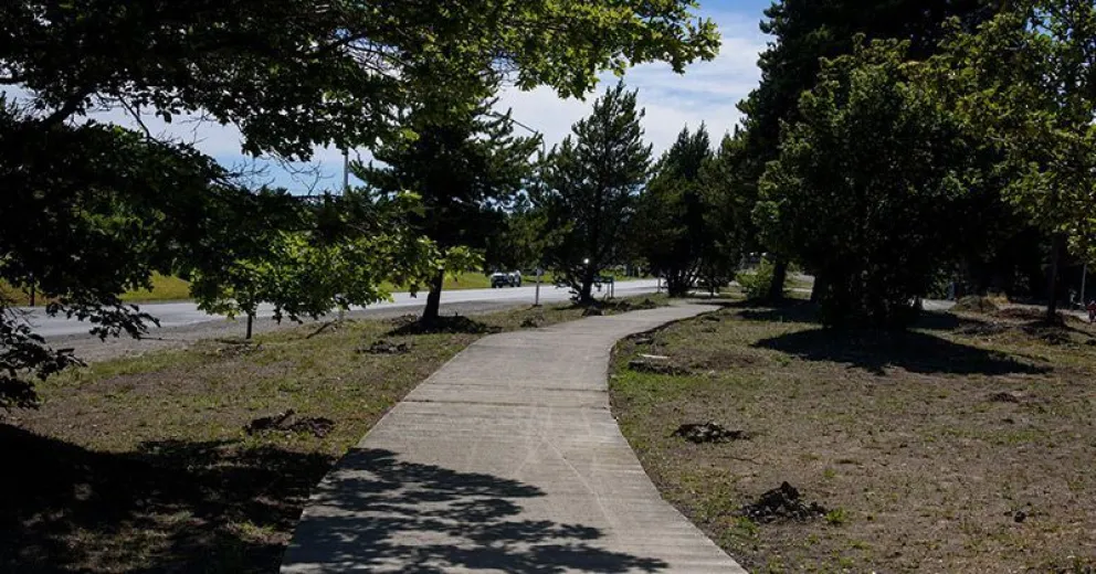 El Paseo del Este incorporó juegos saludables y habilitó su sistema de riego
