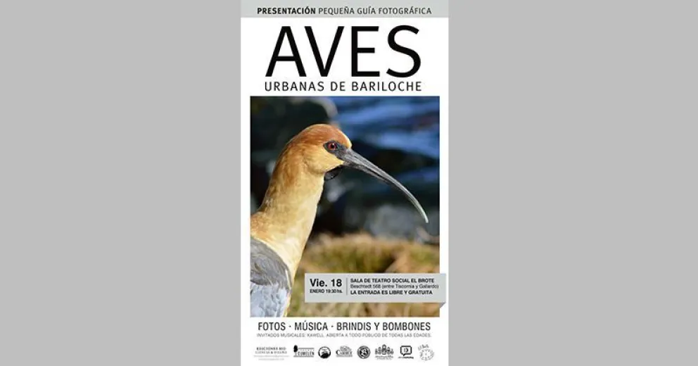 Presentan la Pequeña Guía de Aves Urbanas