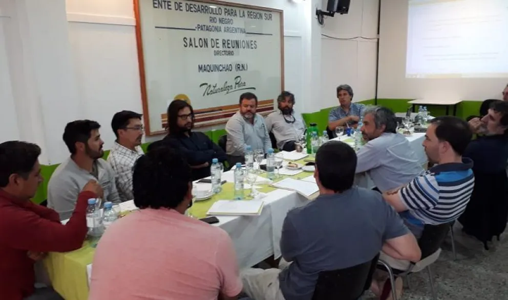 Gran expectativa por la Exposición Ovina de la Región Sur   