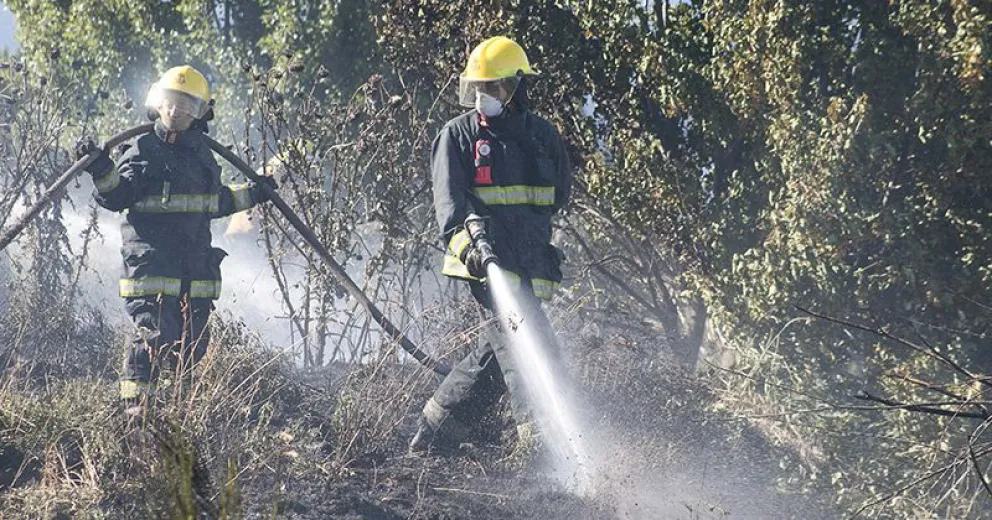 Distintos focos de incendio en varios sectores de la ciudad