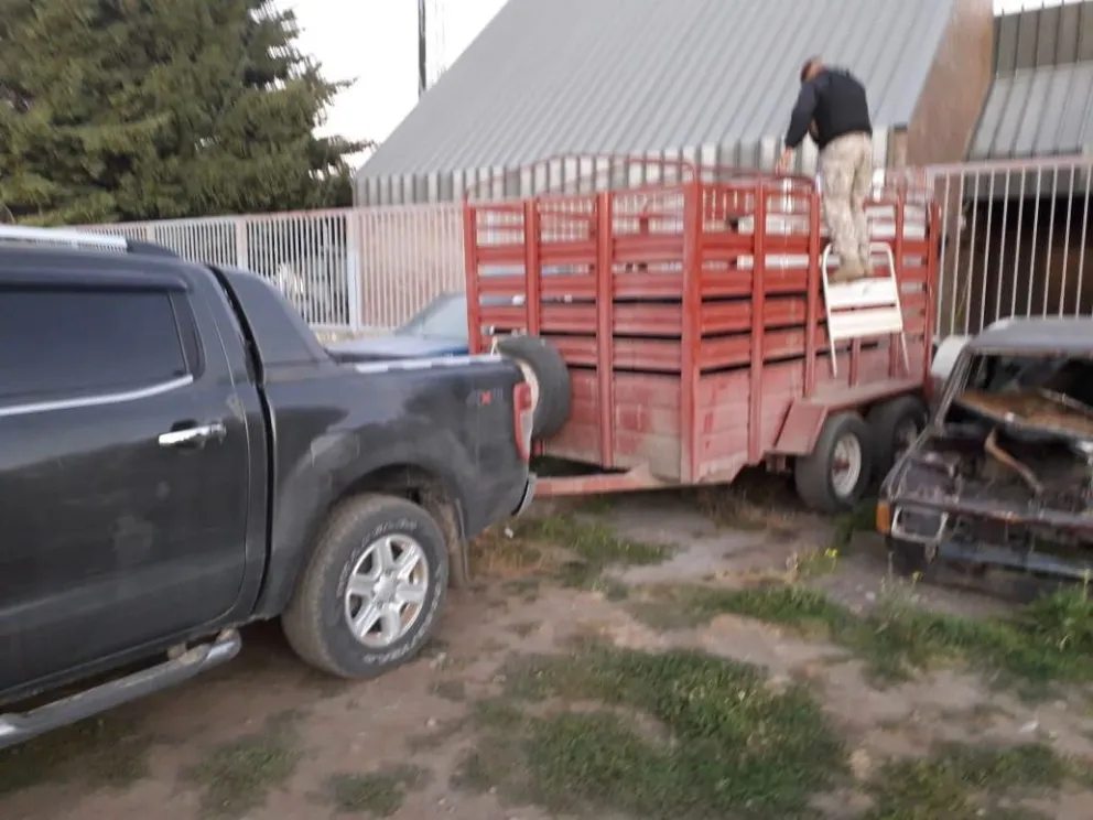Trasladaba 10 bovinos en pie sin autorización