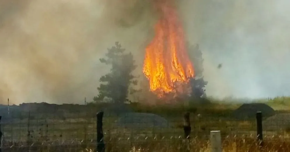 Tras intenso trabajo de brigadistas, controlaron las llamas en Circunvalación y Esandi