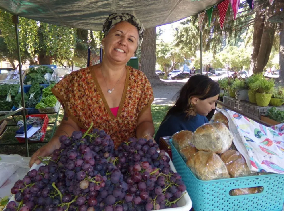 Frutas, verduras, panificados, dulces, miel, huevos, artesanías y hasta música en la Feria de Agricultores en Plaza Belgrano (foto de archivo) 