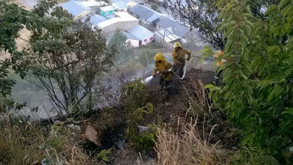 Incendio forestal de considerable magnitud en la barda del Ñireco