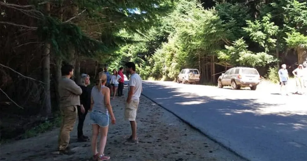 Alerta vecinal por perros envenenados en el barrio Las Cartas