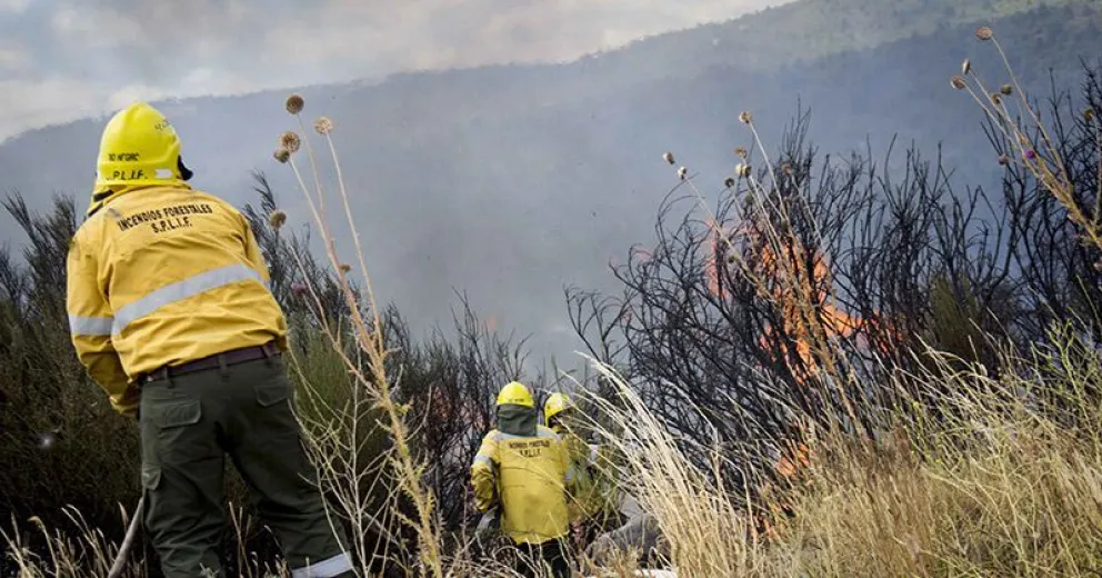 Continúan los incendios forestales en distintos sectores de la ciudad