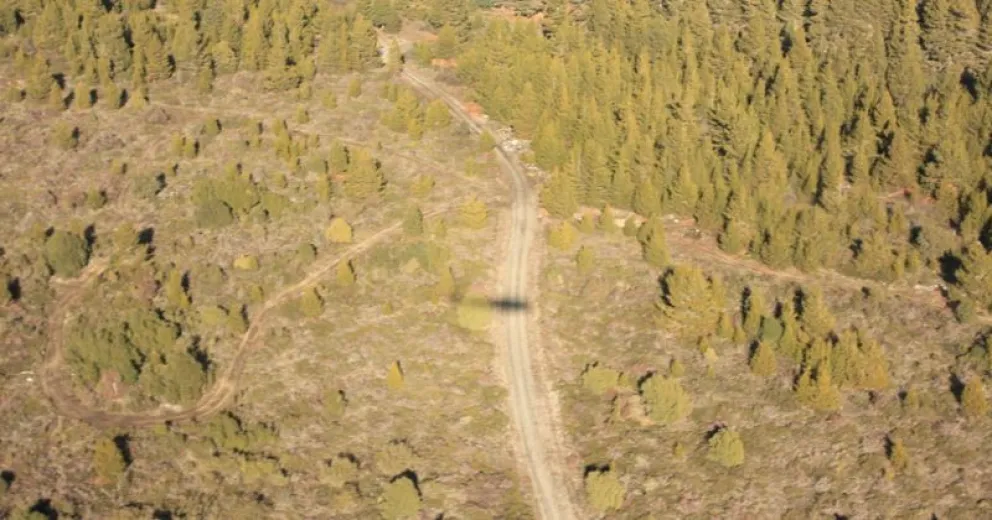 Utilizan el helicóptero del Plan Nacional de Manejo del Fuego para buscar rastros de Cordi