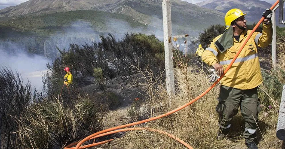 Brigadistas combatieron este domingo tres incendios forestales