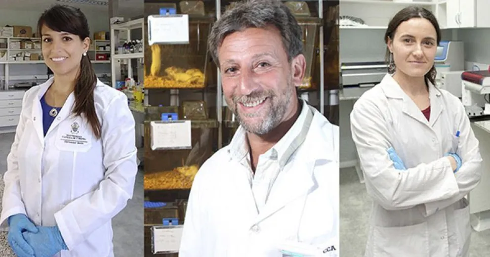 Investigadores del CONICET sientan bases para la producción masiva de vacunas orales