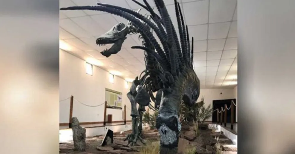 Descubrieron un nuevo dinosaurio en Neuquén, el "Bajadasaurus"