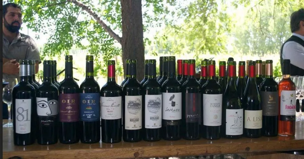 Las virtudes del vino en la Patagonia Norte