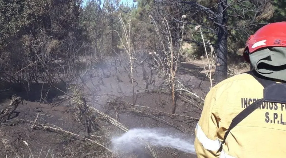 Dos focos de incendio durante esta mañana