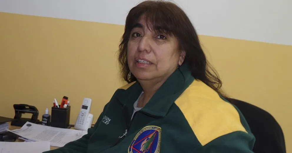 Gran preocupación porque no cesan los incendios forestales intencionales