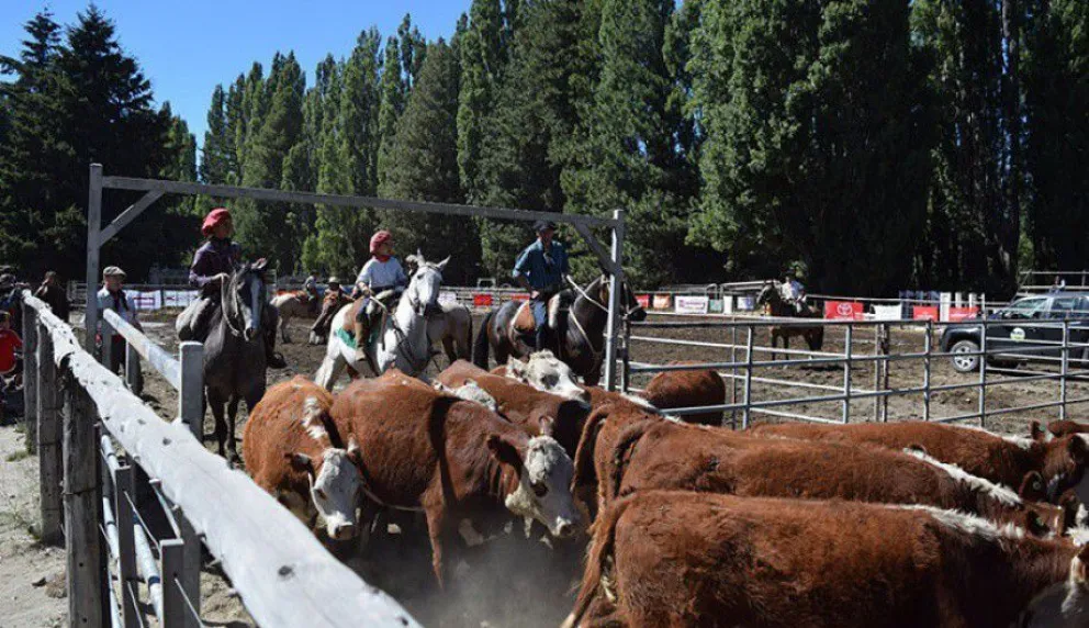 Con un completo programa de actividades comenzó la Expo Rural 2019