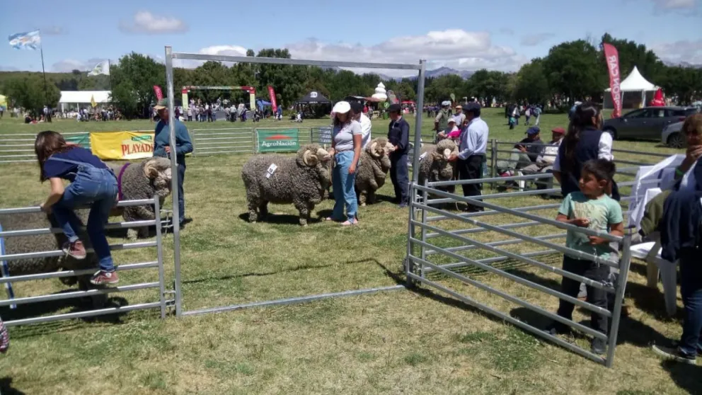 Muchísima gente se acercó para vivir la segunda jornada de la Expo Rural 2019
