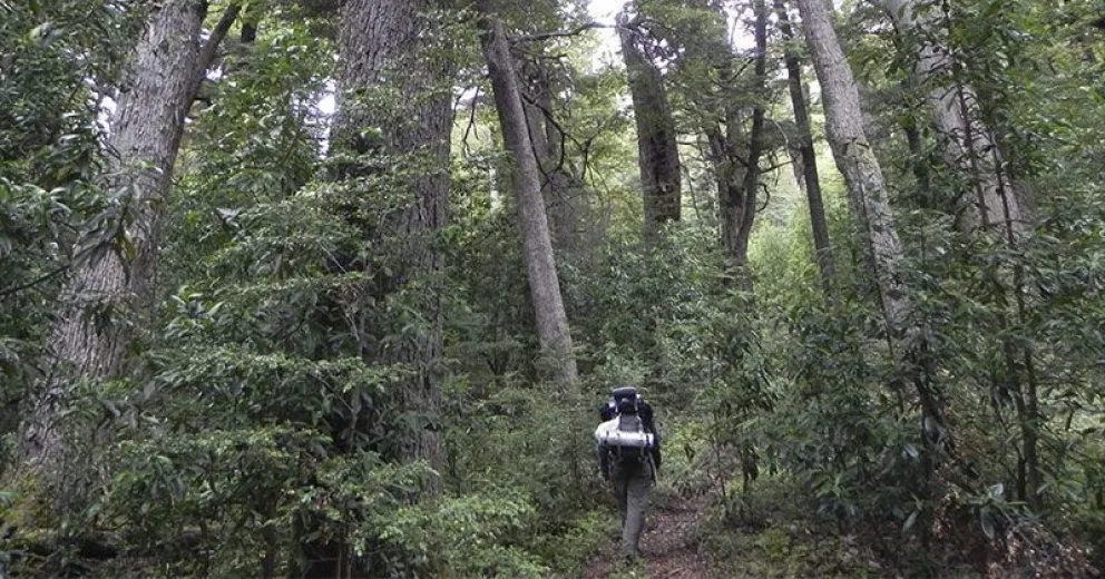 Reapertura de senderos en el Parque Nacional Nahuel Huapi