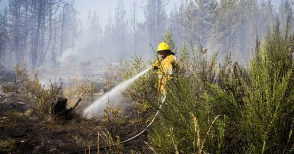Alertan por altas temperaturas y peligro de incendios