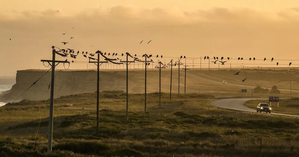 Además de Las Grutas, otros destinos imperdibles de la Costa Atlántica de Río Negro
