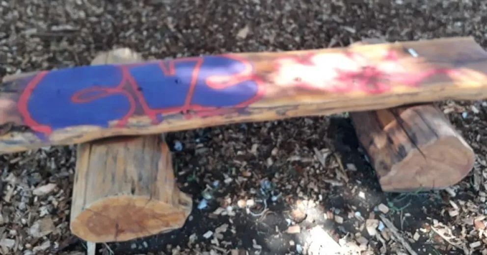 Pintadas y robo de elementos de riego en el Paseo del Este