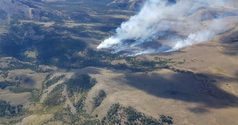 Trabajan intensamente para controlar un incendio cerca del cerro David