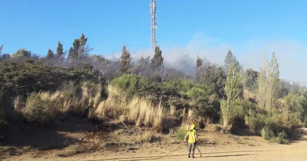 Controlaron el incendio de pastizales en el Vuriloche IV