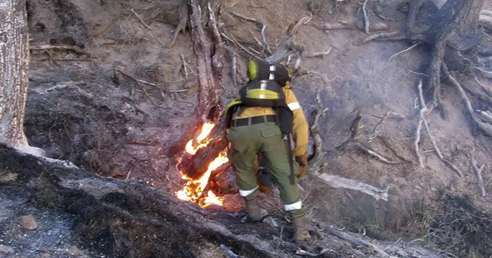 El SPLIF trabaja día y noche para combatir el incendio en Pilcaniyeu   