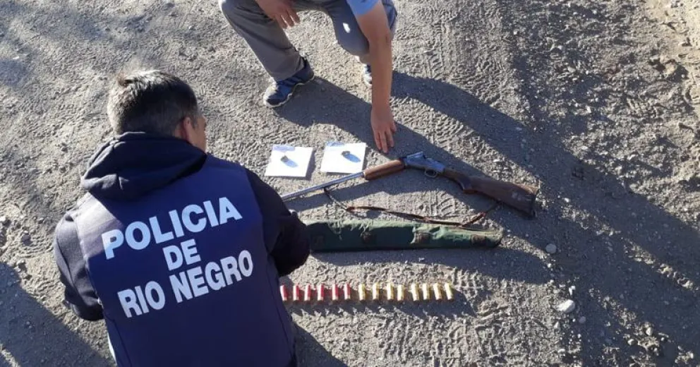Secuestran un arma y carga ilegal de madera