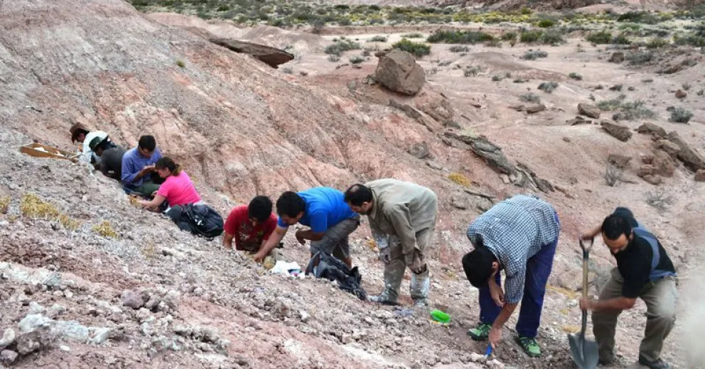 Encuentran restos de un esfenodonte de 90 millones de años en Río Negro