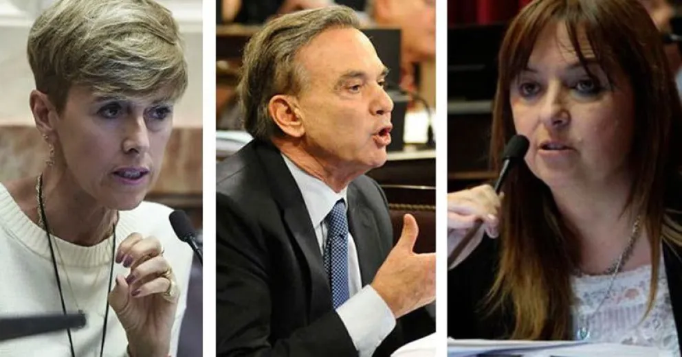 ¿Cuántos asesores tiene cada senador rionegrino?