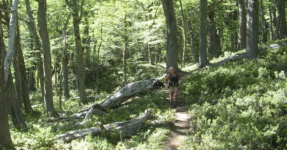 Por fuertes vientos, piden circular con extrema precaución en senderos del Parque