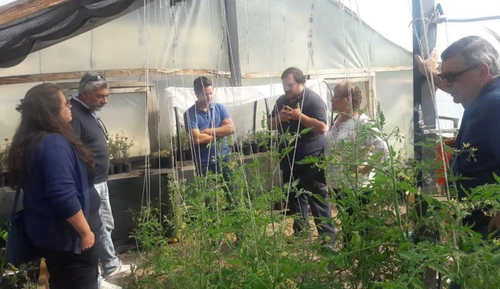 Con nuevos insumos, el Vivero Municipal de Bariloche producirá plantines de verduras y frutas   