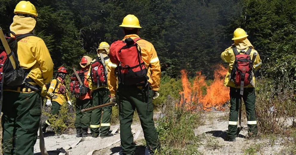 Realizaron quema prescrita sobre flora exótica invasora en el Parque Nacional