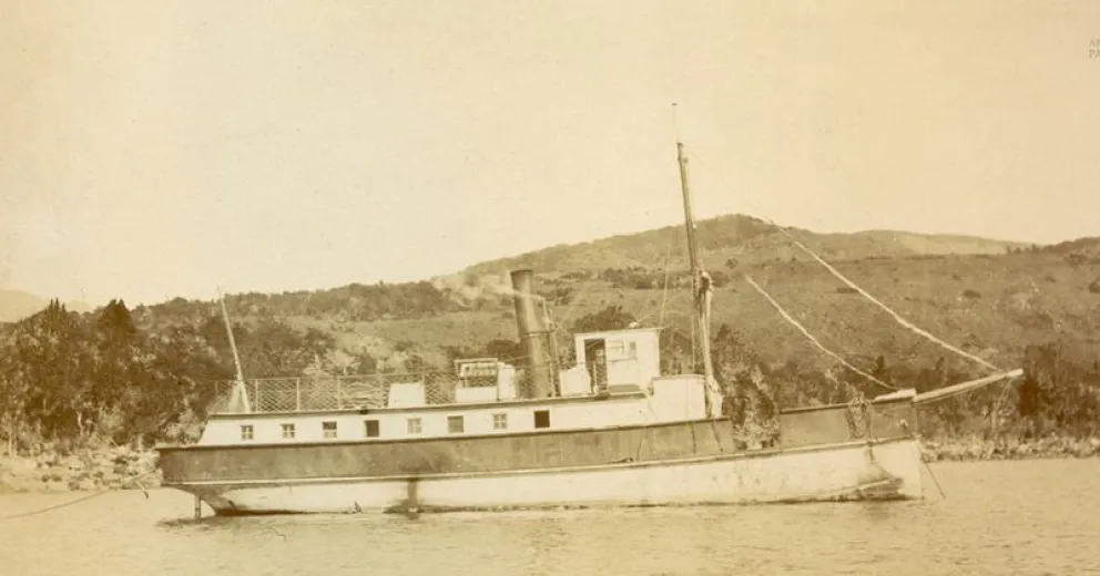 Se necesitaron 600 mulas y 12 yuntas de bueyes para traer el primer barco importante al Nahuel Huapi