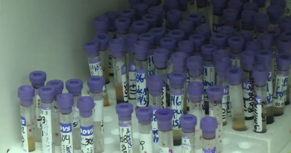 Aumentan las consultas por Medicina Reproductiva en el hospital zonal
