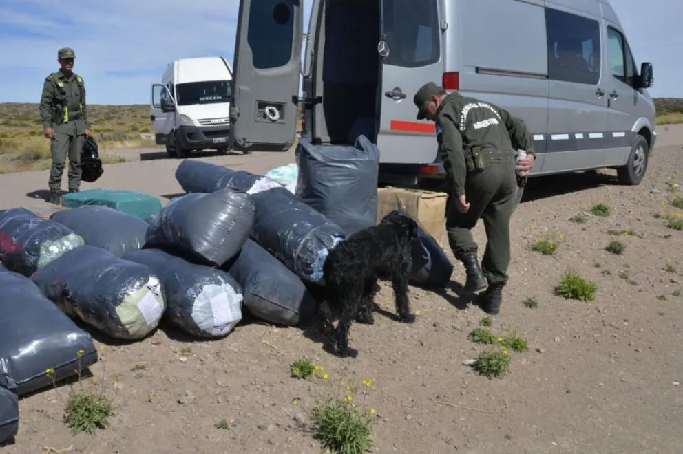 Secuestran 500 mil pesos de mercadería ilegal en la Línea Sur